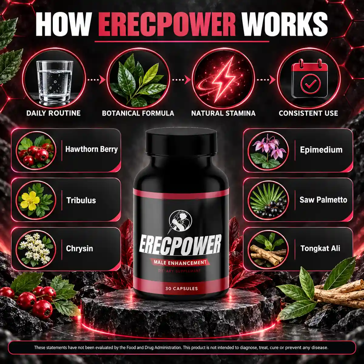 The manufacturer's How ErecPower Works panel, showing daily routine, botanical formula, natural stamina and consistent use
