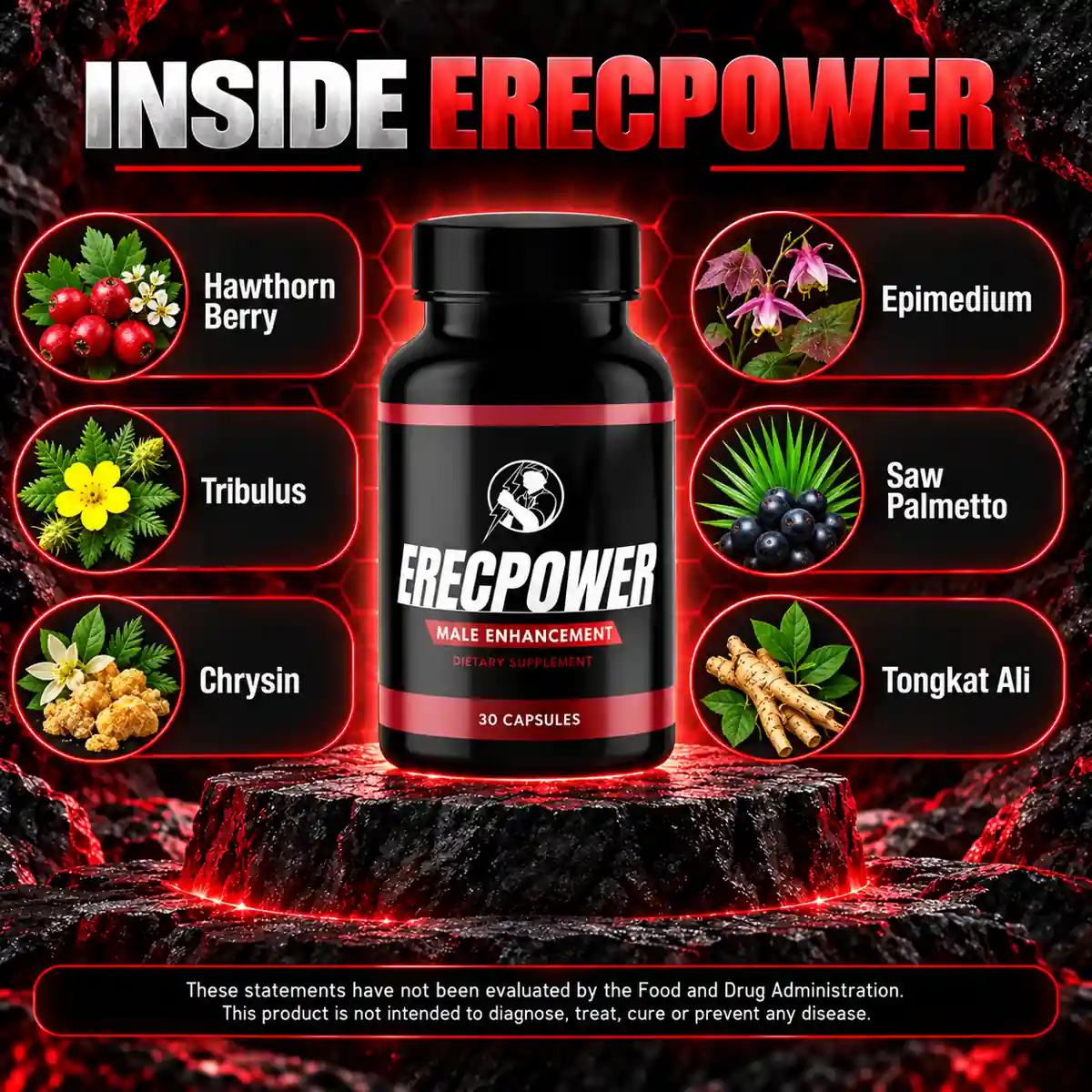 The manufacturer's Inside ErecPower panel, naming hawthorn berry, tribulus, chrysin, epimedium, saw palmetto and tongkat ali around the bottle